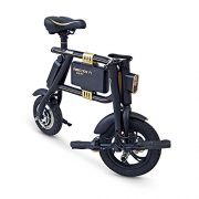 Mini scooter électrique Inmotion P1F
