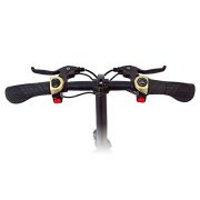 Mini scooter électrique Inmotion P1F